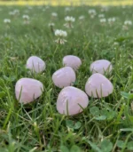 Emotional Healer - Image 2